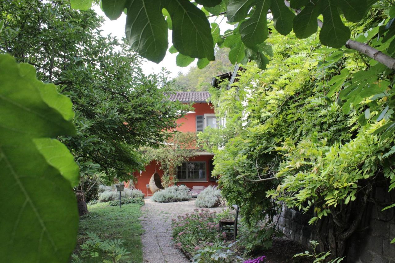 Ferienwohnung Cloud 7Even Mullheim  Exterior foto
