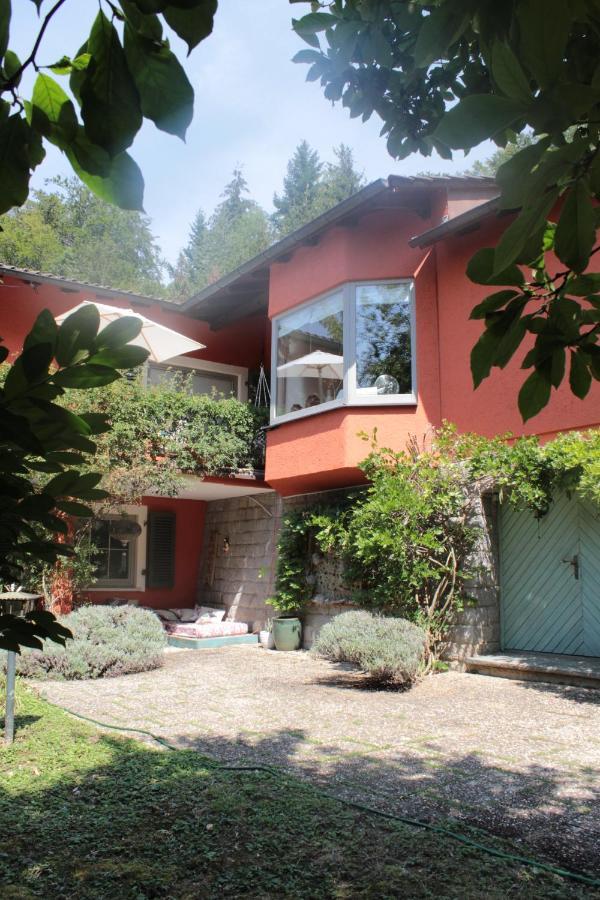 Ferienwohnung Cloud 7Even Mullheim  Exterior foto